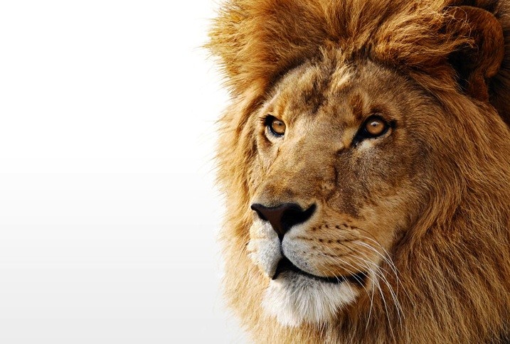 Mac OS X Lion Developer Preview 2 Update