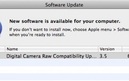Αναβάθμιση στο Digital Camera RAW Compatibility